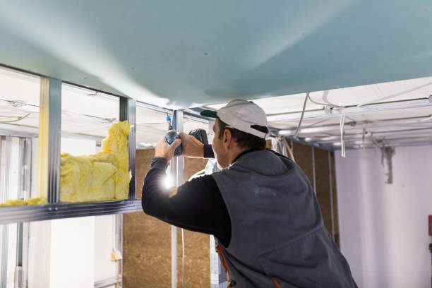 Best Insulation Installation Services in Dousman, WI